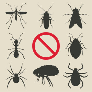 diagram of all the pests you need to avoid attracting in your storage unit