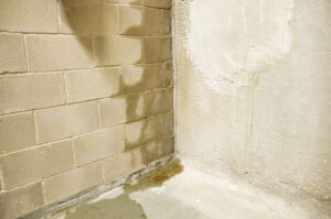 Rain water leaks on the wall causing damage in storage unit
